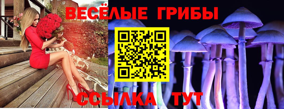 Псилоцибиновые грибы ЛСД Мичуринск
